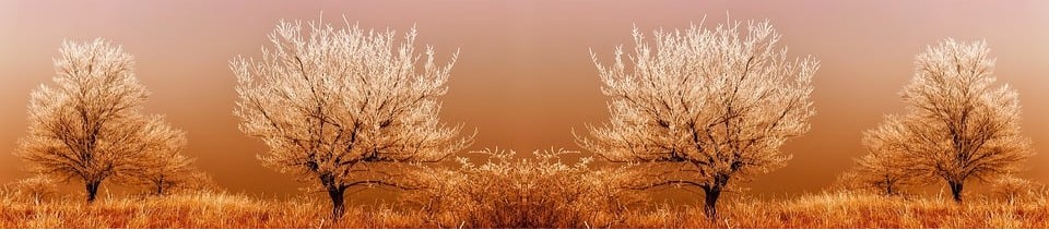 c08624e4b93cc9f5d0c41721c5c91fb7_1676001067_05.jpg